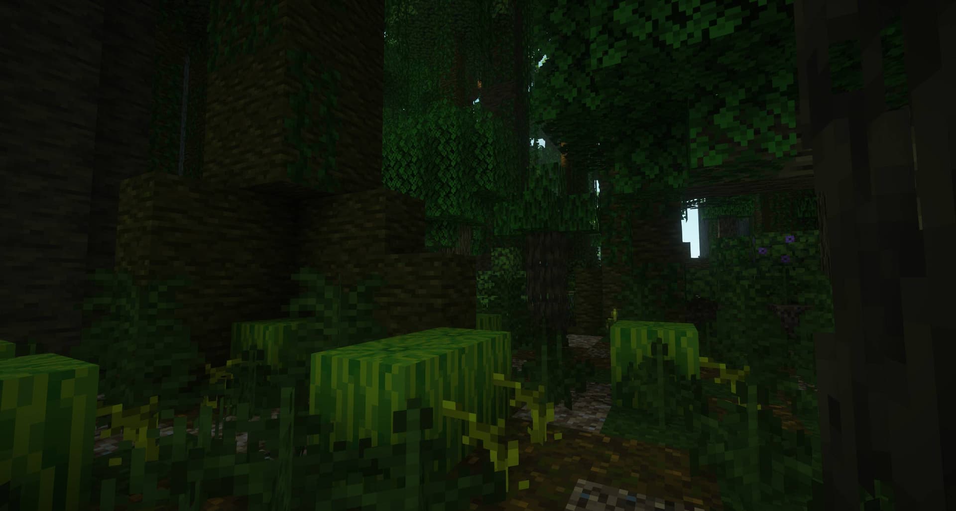 More Biomes [FORGE] - 1.21 UPDATE! screenshot