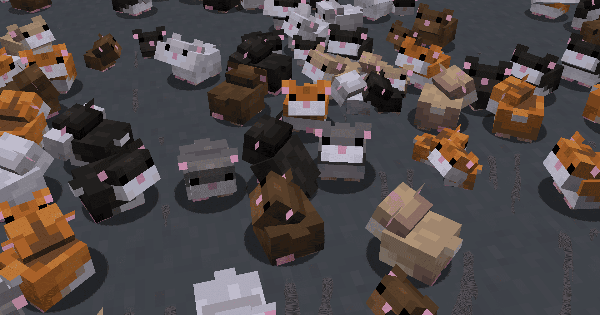 Hamsters Plus Lite screenshot