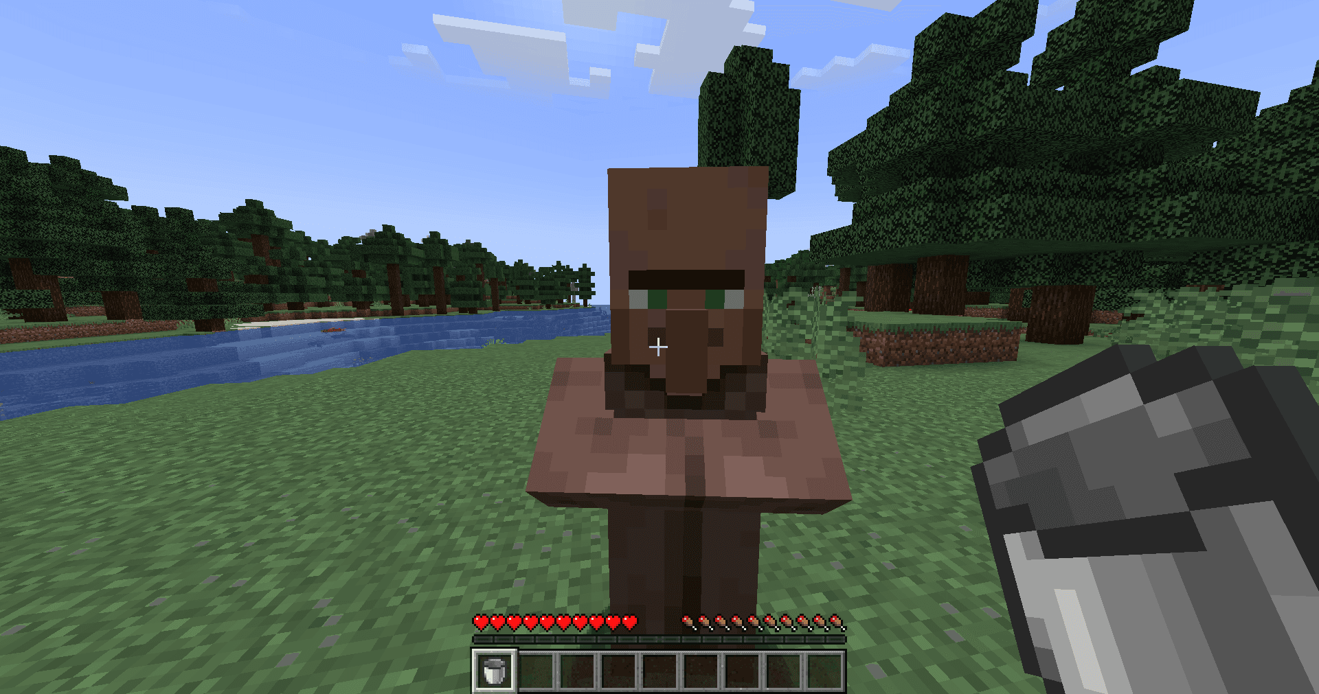 Villager In A Bucket screenshot