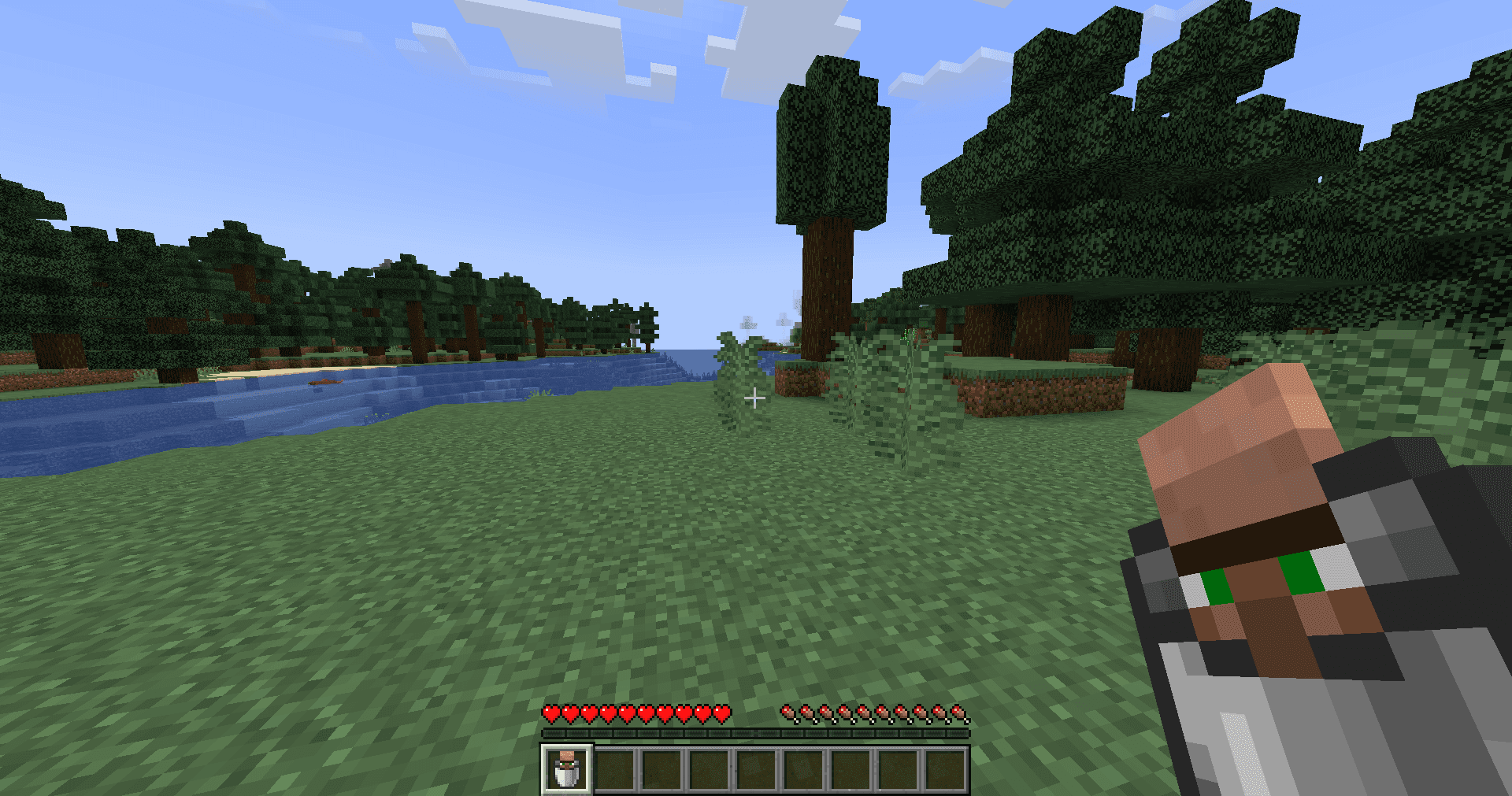 Villager In A Bucket screenshot