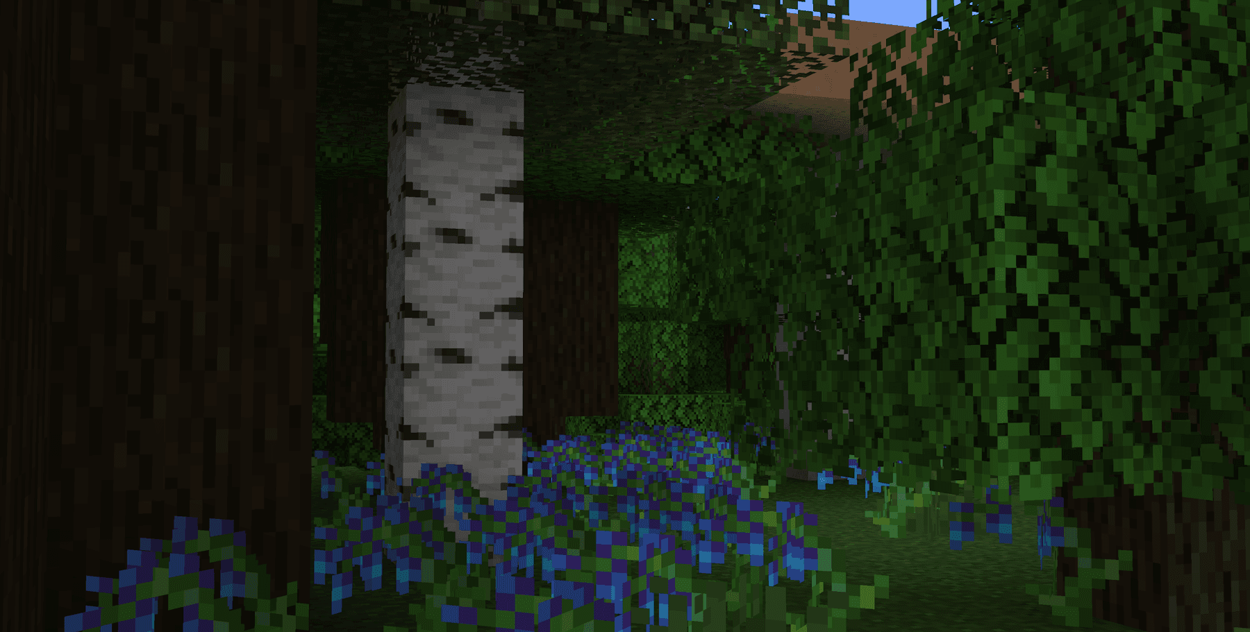 Environmental screenshot