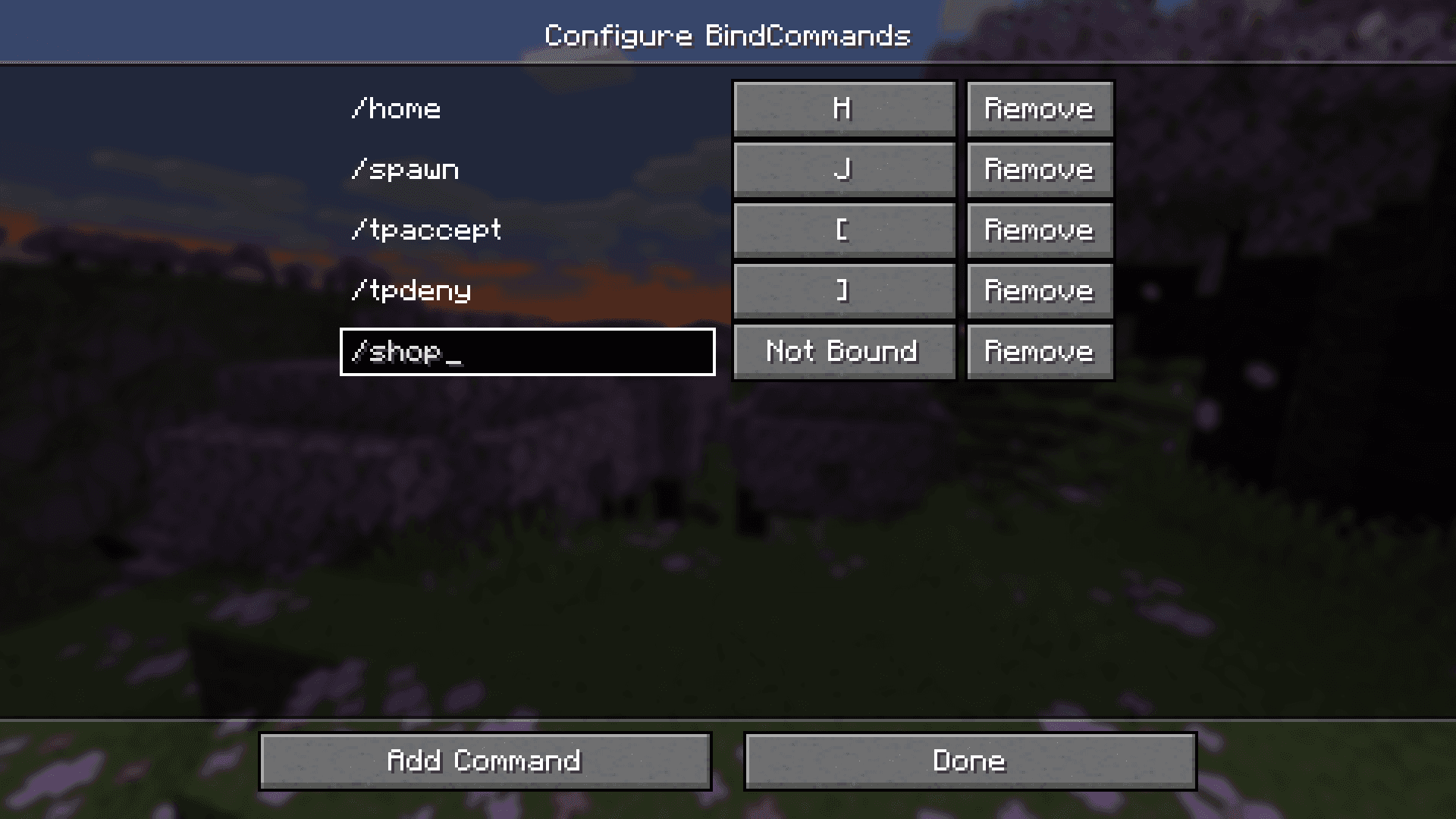 BindCommands screenshot