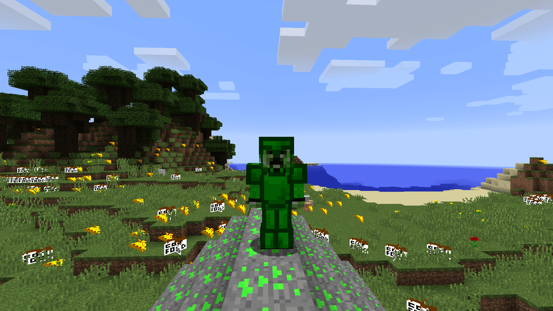 MrCreeper screenshot