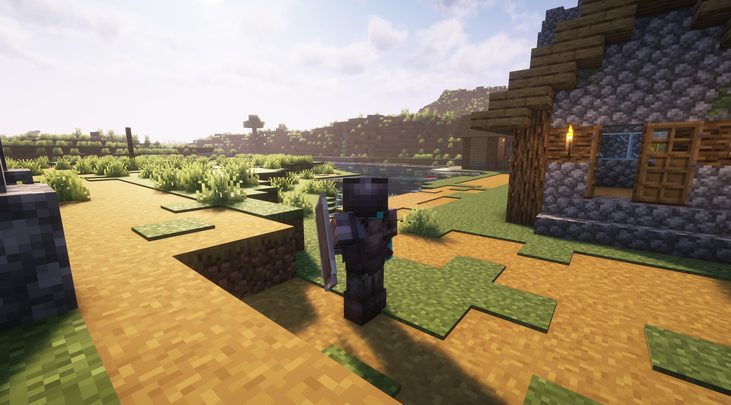 New Shield Variants | Shields with Effects! screenshot