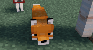 Better Animal Eyes screenshot