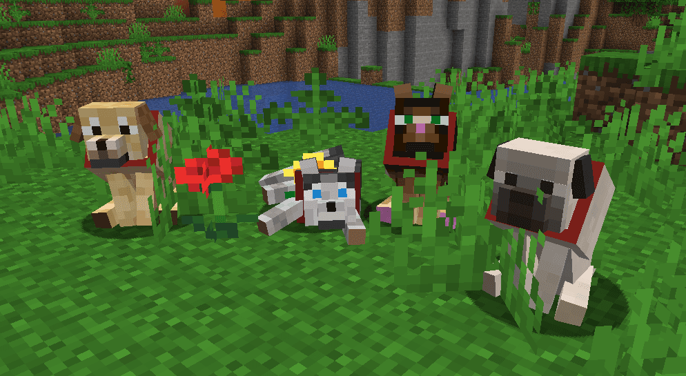 Creatures+ Animated screenshot