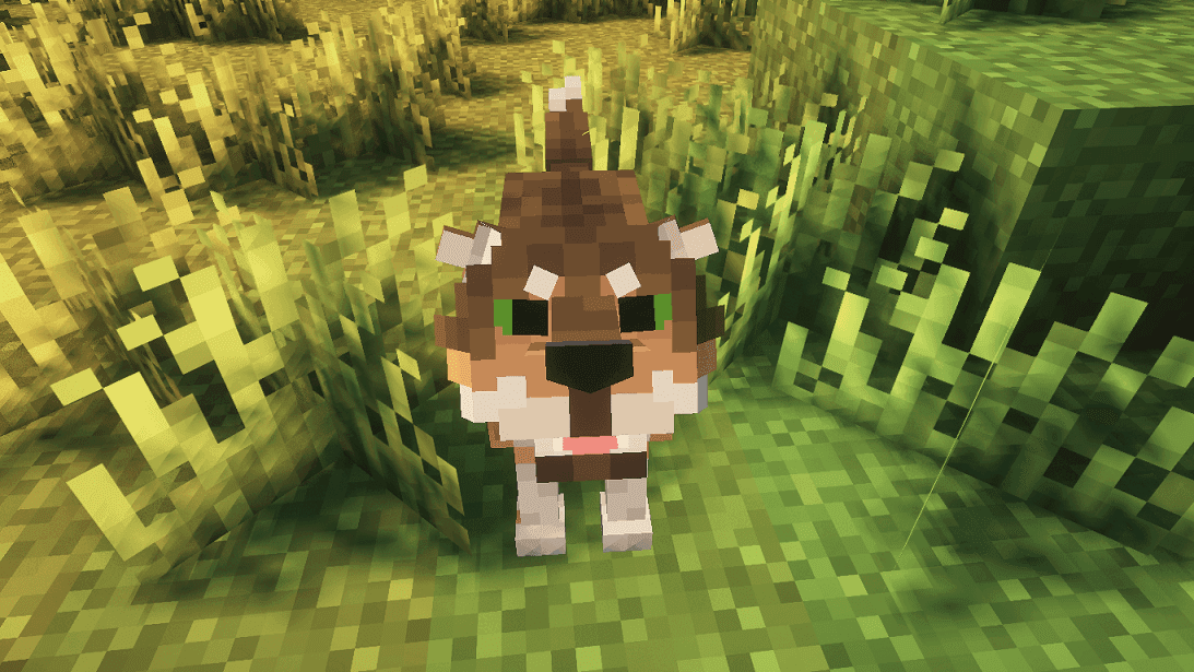 Wild Wolves screenshot