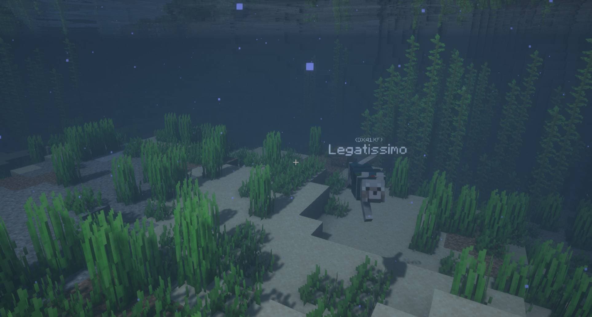 Doggy Talents Next screenshot