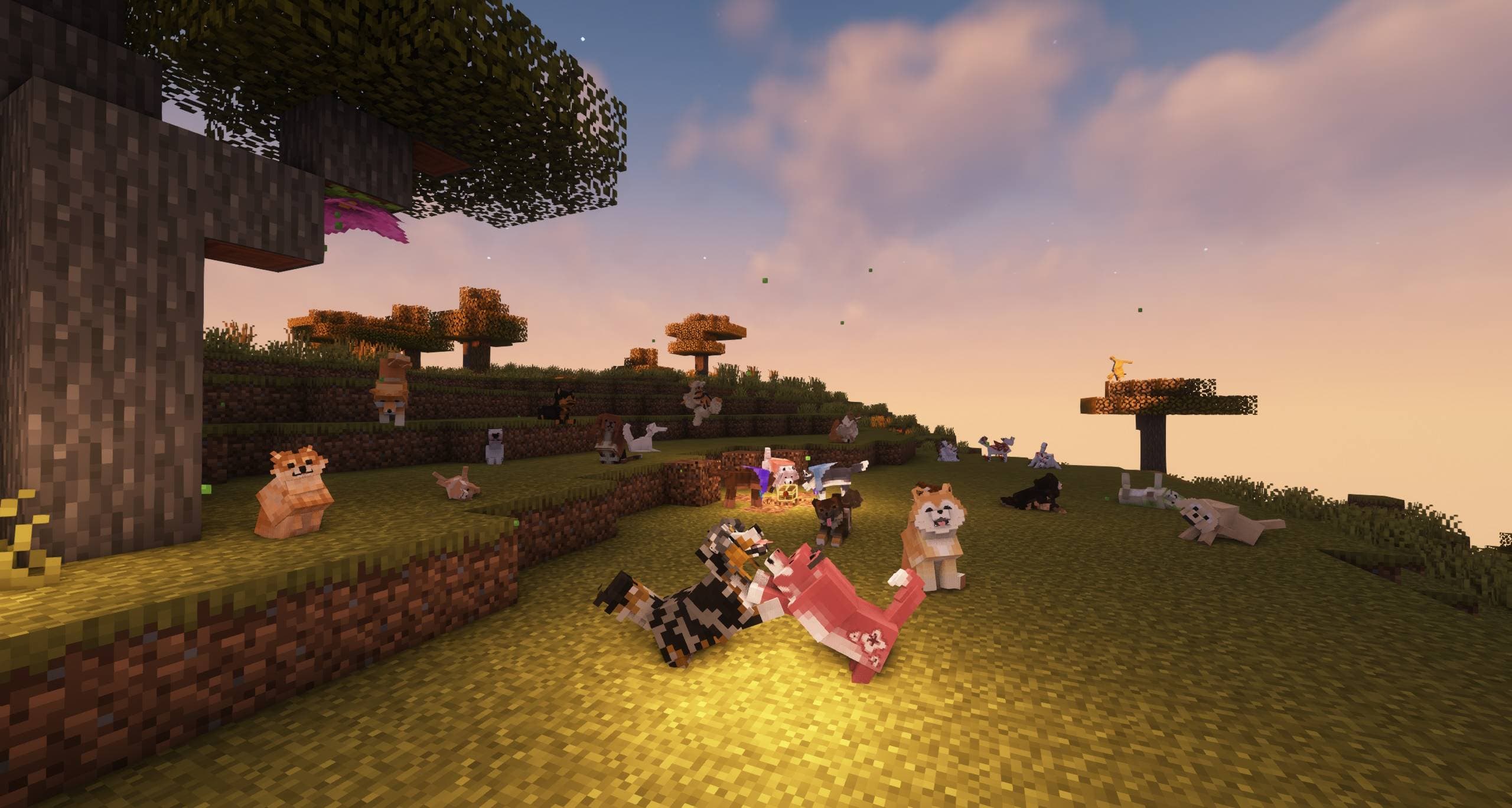 Doggy Talents Next screenshot