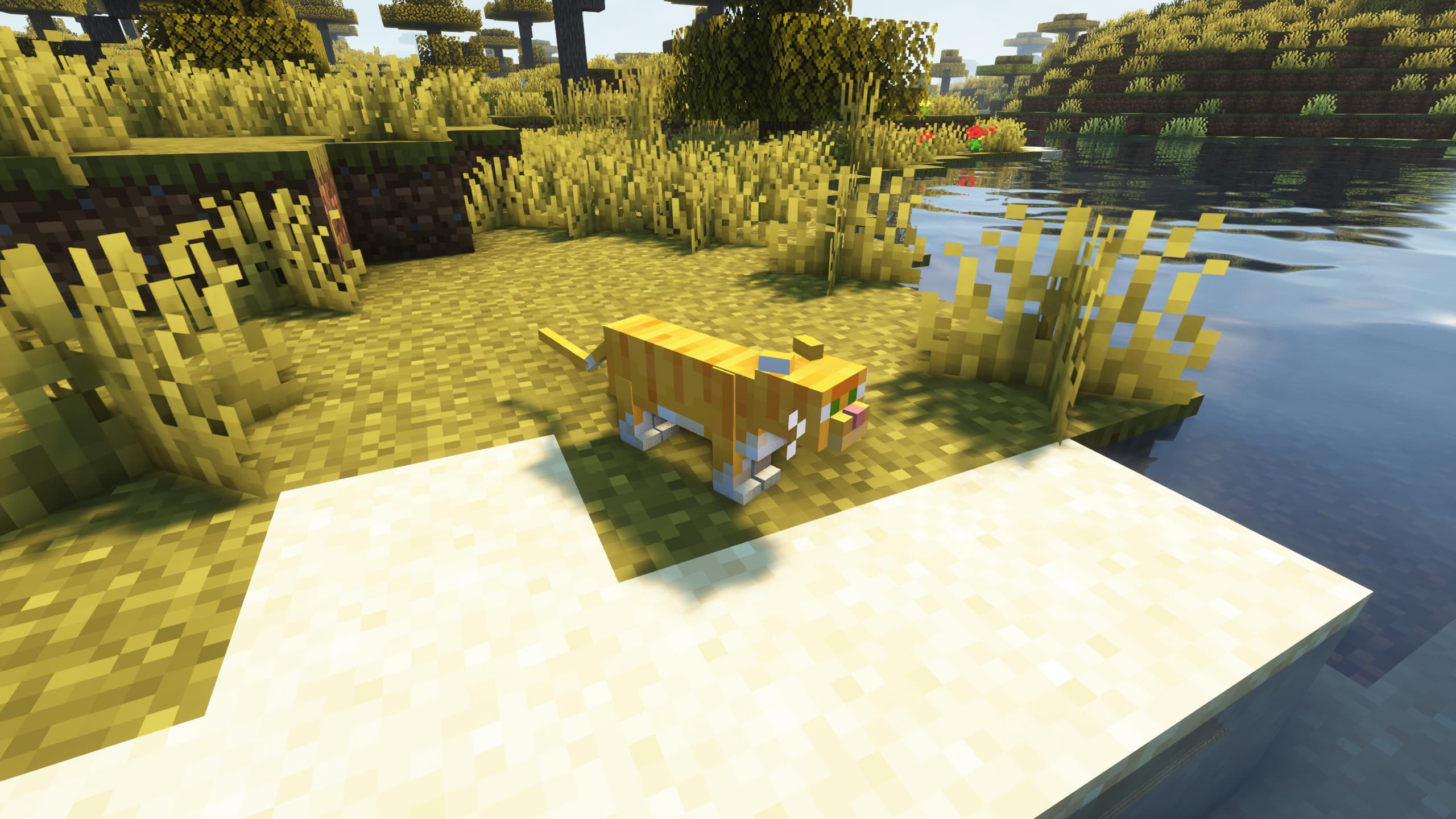 Realistic Cats screenshot