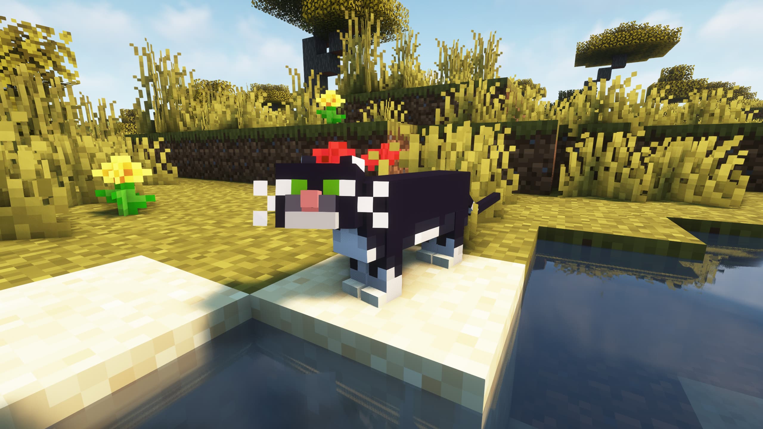 Realistic Cats screenshot