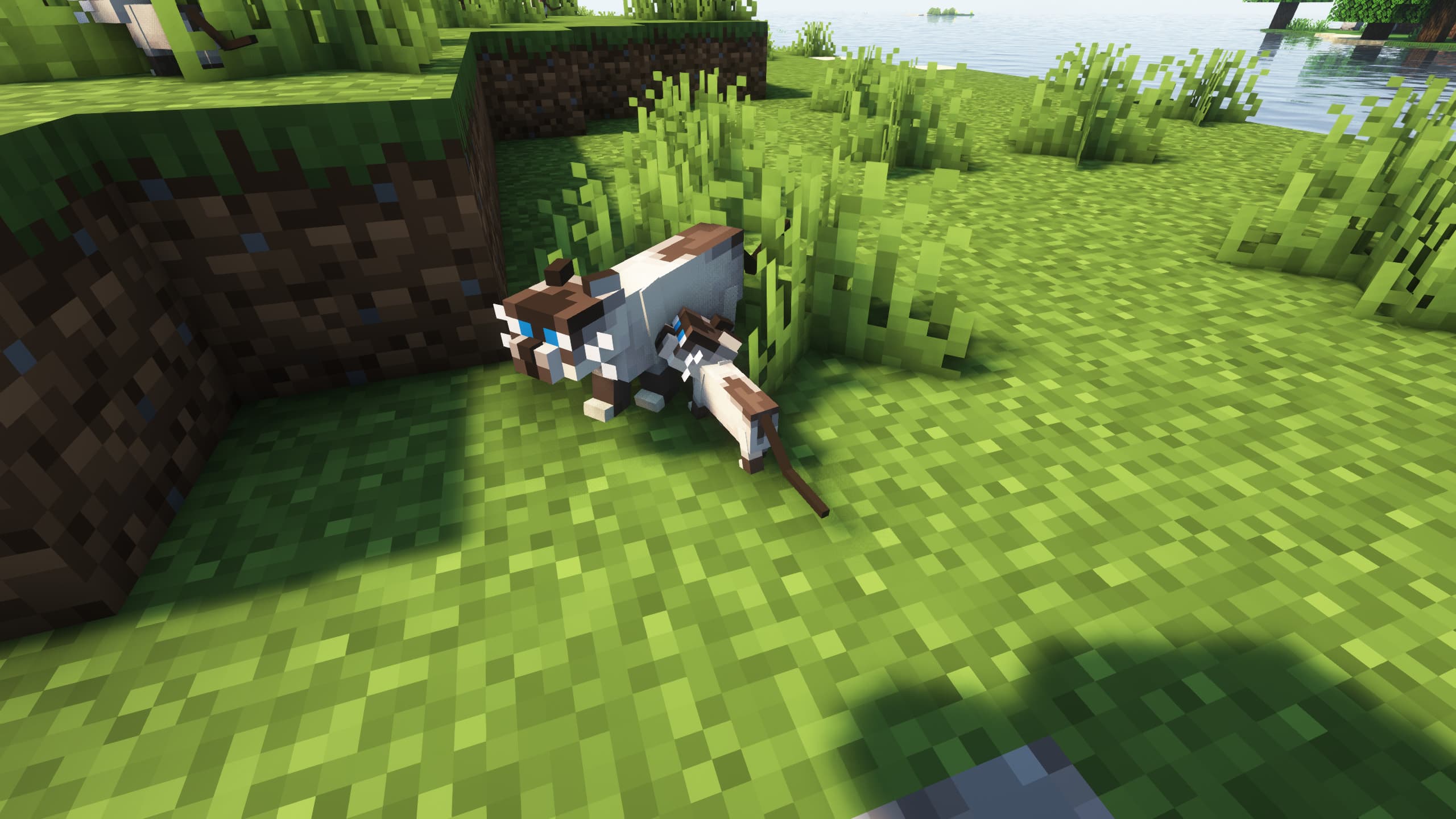 Realistic Cats screenshot