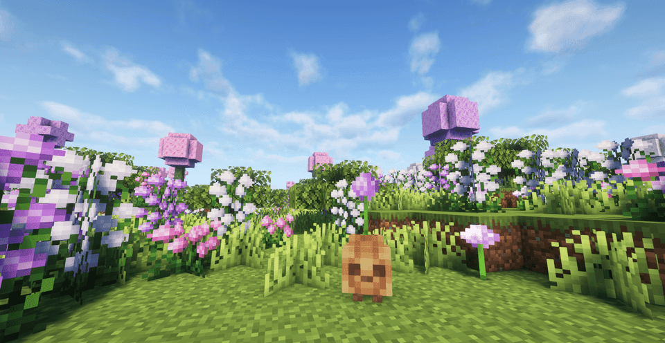 Oh The Biomes We've Gone screenshot