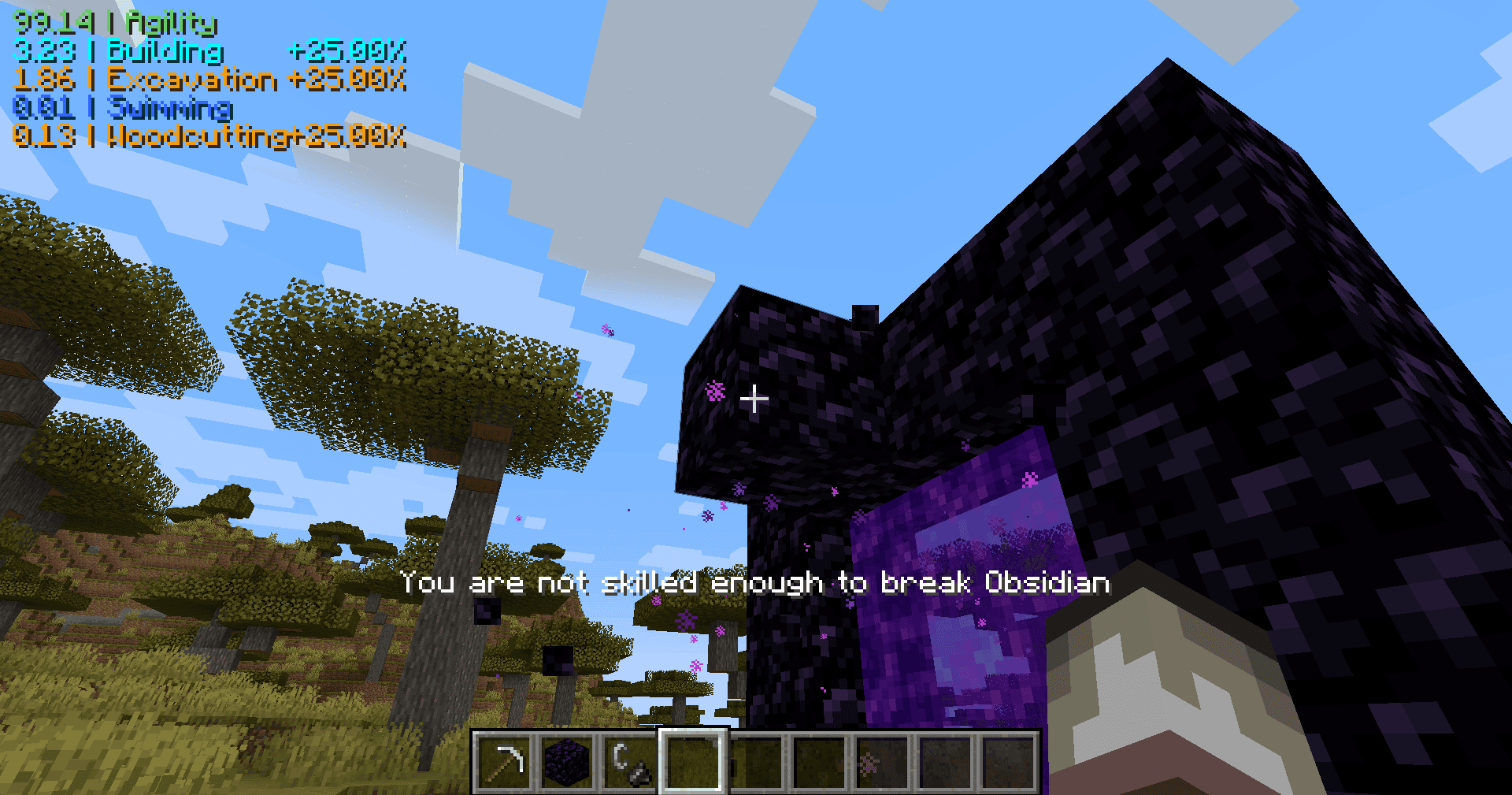 Project MMO screenshot