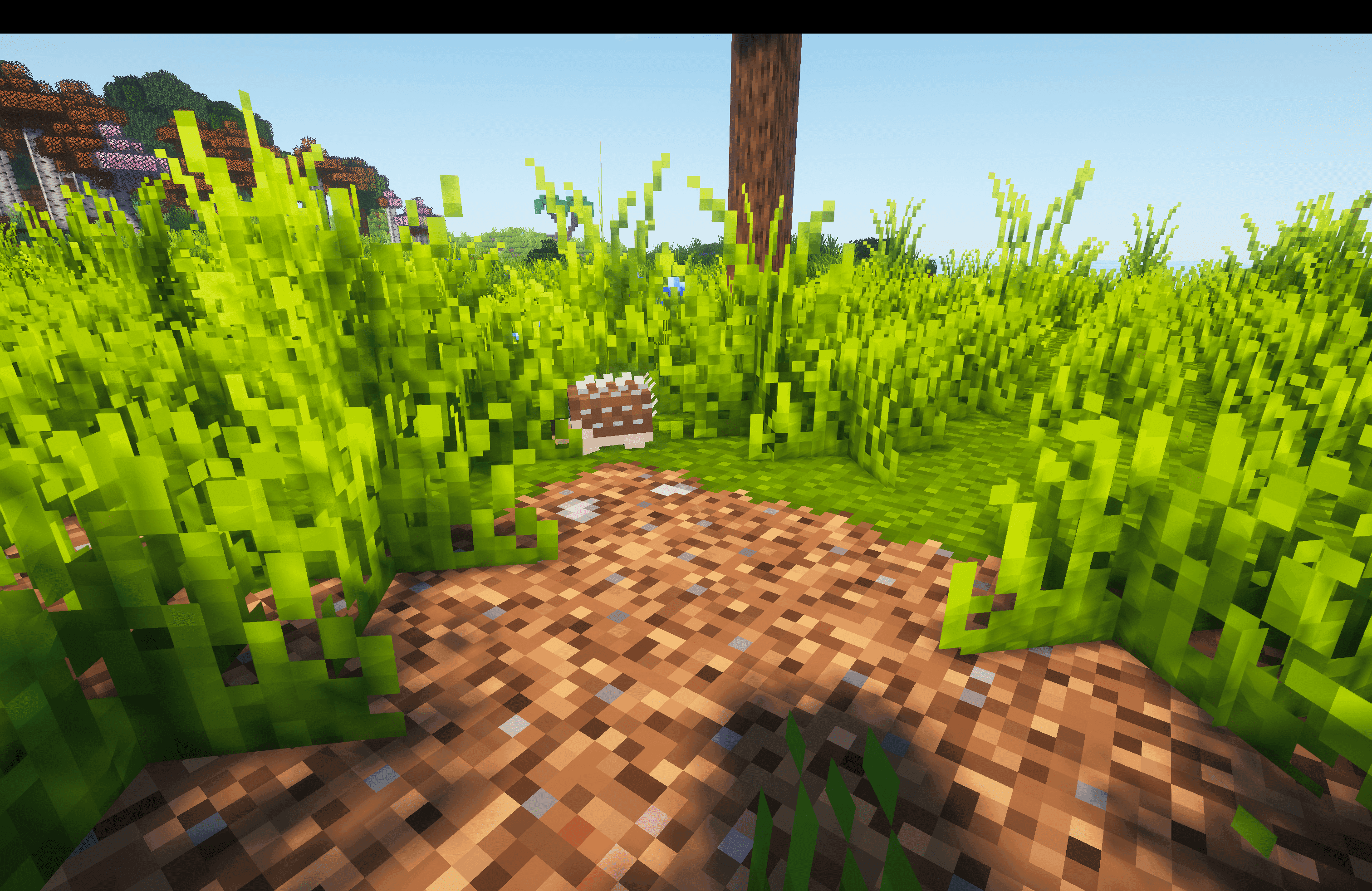 [Let's Do] WilderNature screenshot