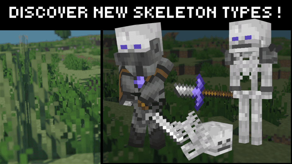 Bones Update screenshot