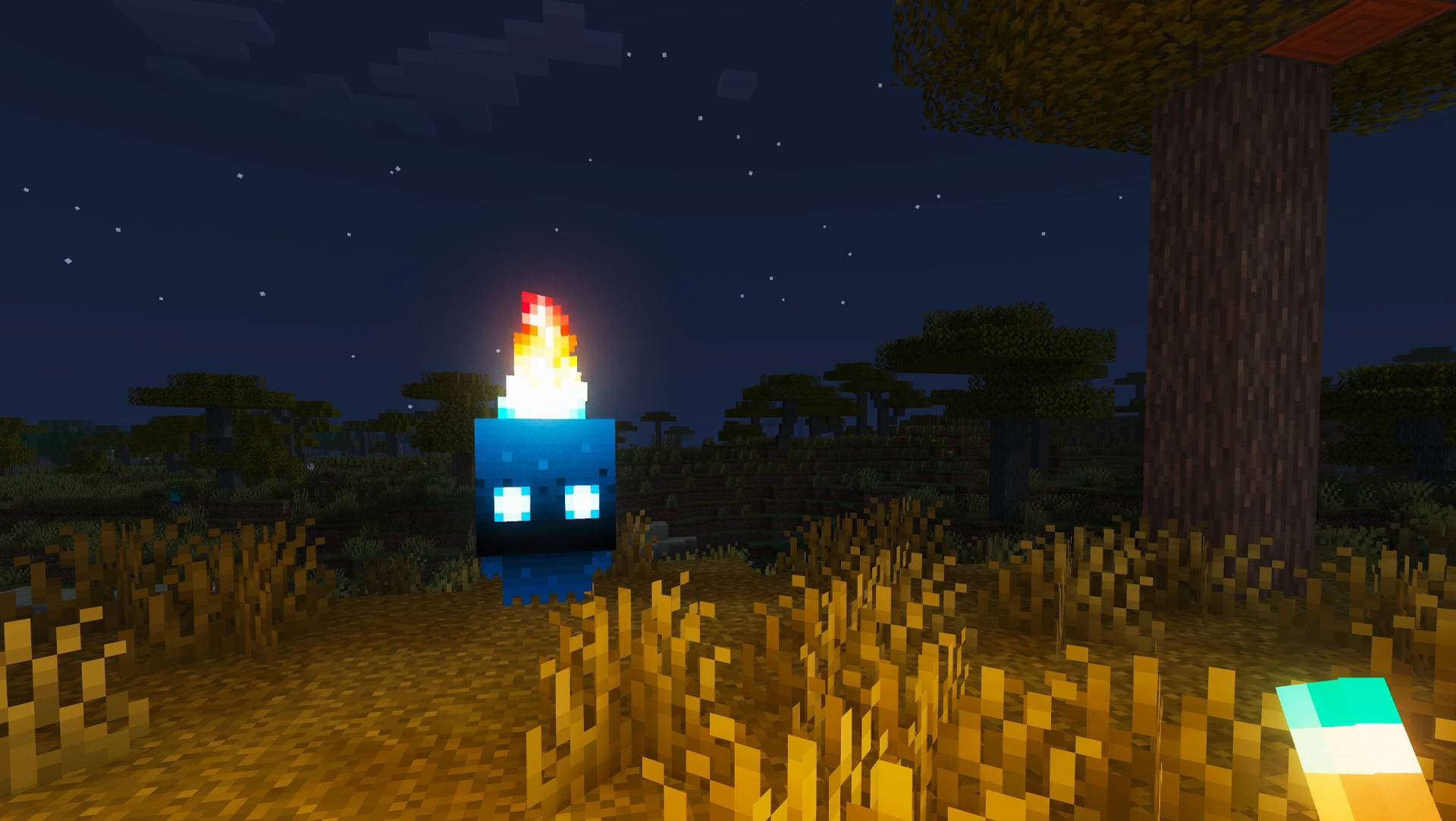 Burnt + Additions. Better Vanilla Fire screenshot