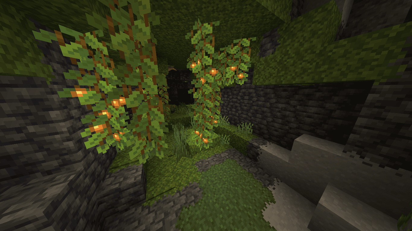 Overlay’s screenshot